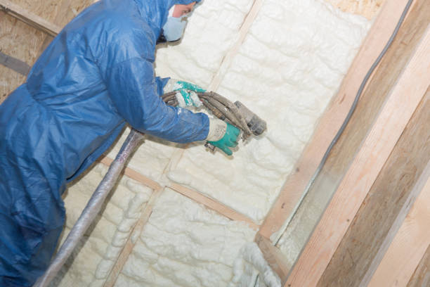 Best Spray Foam Insulation  in Lubbock, TX