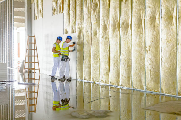 Best Reflective Insulation  in Lubbock, TX